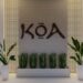 Koa